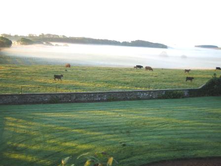 view from front window at Cornhills Farmhouse.